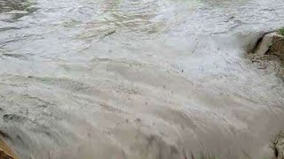 خبرعاجل-🔴 فيضانات جيجل الجزائر اليوم  ,فيضان الريفالجزائري،2024🇩🇿