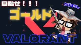 【VALORANT】ヴァロとかげぼうしの楽しい？物語