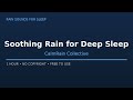 Soothing Rain for Deep Sleep — CalmRain Collective [Rain Sounds for Sleep] 1 Hour