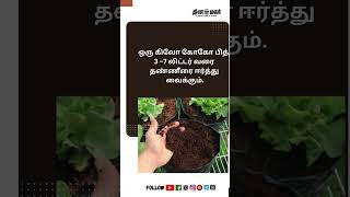 தண்ணீர், உரச்செலவை மிச்சப்படுத்தும் கோகோ பித்