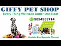 Every Things We Need One Roof _ Giffy Exclusive Pet Store_ SSM Nagar _ 9094953714