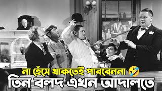 তিন বলদ এখন আদালতে | Three Stooges Bangla Funny Dubbing | Bangla Funny Video | Bangla Dubbing