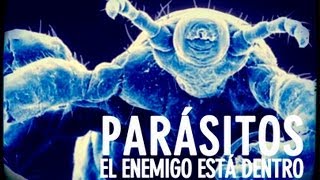 ¿Cómo actúan los parásitos?