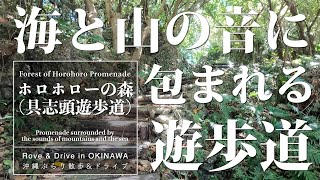 [Rove In Okinawa] Promenade surrounded by the sounds of mountains and the sea-Forest of Horohoro