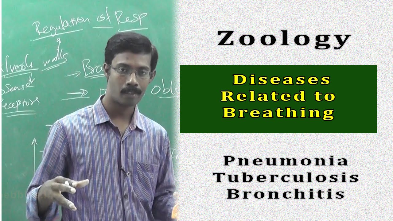 Zoology - Human Body - What happens when a person gets affected by Pneumonia or TB or Bronchitis