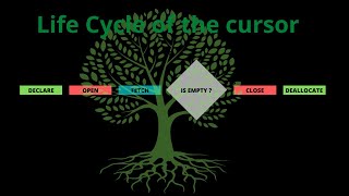 Cursors (SQL Server)