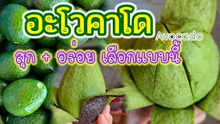 อะโวคาโด สุก+อร่อย เลือกแบบนี้🥑|วิธีการเก็บอะโวคาโดสุกไว้กินนานๆ🥑Avocado