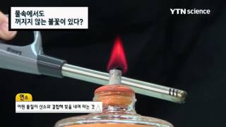 물속에서도 꺼지지 않는 불꽃이 있다? / YTN 사이언스