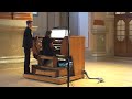 national anthem of ukraine. svitlana pozdnysheva organ