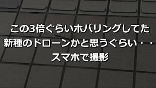 オニヤンマのホバリングがすごい