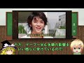 【ゆっくり解説】赤と青の交差！仮面ライダーパラドクス パーフェクトノックアウトゲーマーレベル９９！【仮面ライダーエグゼイド】