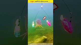 পৃথিবীর সবথেকে চালাক মাছ ....😲 Fishing tools item/Fishing idea \u0026 clever fish in the world #shorts