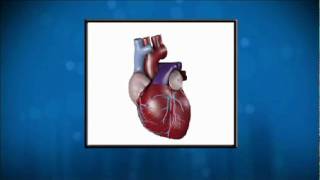 What is Cardiovascular Disease? Doctor Akshay Khandelwal Explains
