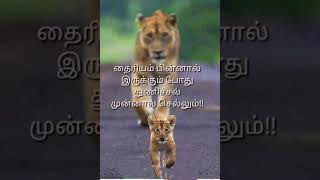 #தைரியம் #துணிச்சல் #shortsfeed #tamilquotes #வாழ்க்கை #தன்னம்பிக்கை #motivation #shorts