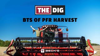 Behind the Scenes of PFR Harvest | The Dig