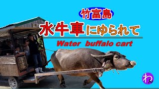 竹富島 「水牛車にゆられて」‥ 竹富観光 Water buffalo cart