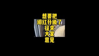 想把绯红升级一波#陈凯伦 #神之套 #王真人 #老瞬爆 #北清