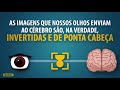 35 fatos incríveis sobre seus olhos que você não sabia