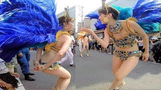 学生サンバチーム　ウニアンドスアマドーリスの夏祭りパレード　SAMBA CARNIVAL (サンバカーニバル)