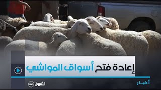 #الأغــواط| موالون يثمنون قرار إعادة فتح #أسواق_المواشي