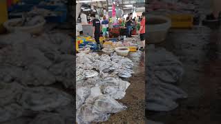 Pontian Wholesale Fish 🐟 Market Johor Malaysia