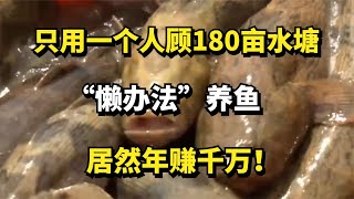 只用一个人顾180亩水塘，“懒办法”养鱼，居然年赚千万！