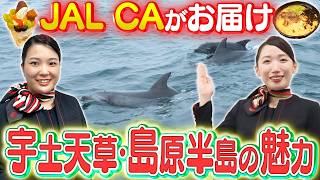 九州の食の宝庫!?宇土天草・島原半島の魅力をJAL客室乗務員が調査