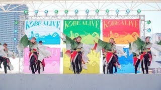 [4K] 岡山うらじゃ連 謳歌-OHCA-　神戸アライブ 2019　2日目　～ KOBE ALIVE  神戸新舞 ～ (中央)