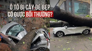 Cây đè bẹp ô tô sau bão YAGI: Chủ xe có được bồi thường?