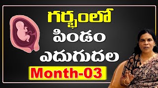 గర్భంలో పిండం ఎదుగుదల | Dr Rama Devi in Telugu | Month-03 | Baby Growth in Womb | Fetus Development