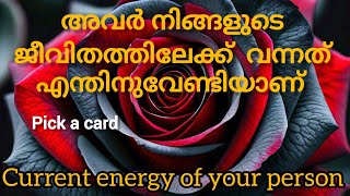 അവരുടെ കരണ്ട് എനർജിയും അവരുടെ ചിന്തകളും. CURRENT FEELINGS OF YOU'RE PARTNER AND SITUVATION #tarot