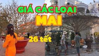 26 tết tình hình tại chợ hòa thành thế nào#vlog #flowers