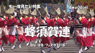 も一度見てみたい阿波踊り「蜂須賀連」はな・はる・フェスタ2018（2022.3.7）