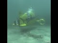 this one person sub offers divers a unique underwater experience..