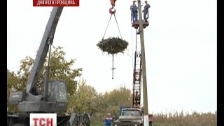 На Дніпропетровщині електрики плетуть гнізда лелекам