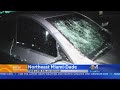 Tree Branch Falls On Man's Car