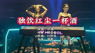 洋澜一《独饮红尘一杯酒》DJ何友版 KTV 导唱字幕 （备有伴奏视频）