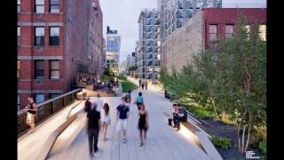 Public-Private Partnerships in NYC: Panel 1: Lisa Switkin