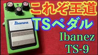 【エフェクター】王道TUBE SCREAMER【TS9】