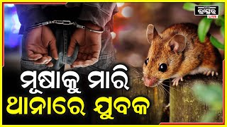 ମୂଷା ମାରିଥିଲେ 10ଘଣ୍ଟା ଜେଲରେ ରହିଲେ ଅଭିଯୁକ୍ତ ମନୋଜ କୁମାର