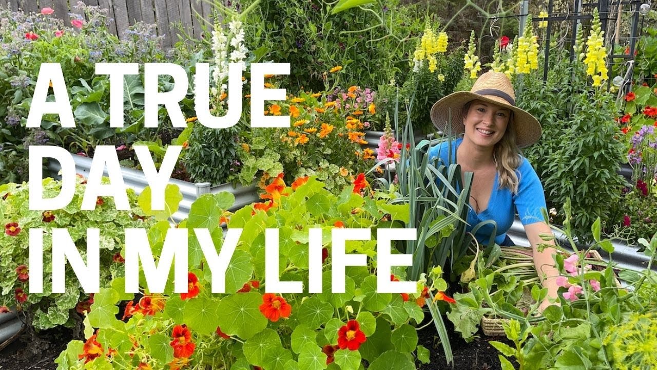 Day In My Life Vlog Youtube