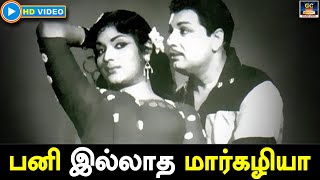 பனி இல்லாத மார்கழியா | Paniyillatha Margazhiya Song HD | Anandha Jothi | MGR | Devika | HD