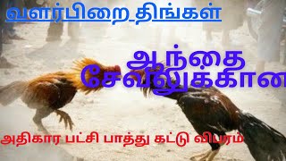 seval niram || patchi part-3