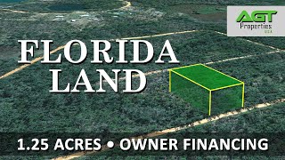 1.25 Acres I Land for Sale in Florida I Just minutes from McCormick Lake and Compass Lake