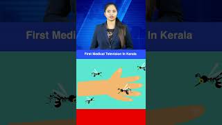 ഡെങ്കിപ്പനി വ്യാപിക്കുന്നു, സൂക്ഷിക്കുക #dengue #dengue_fever #dengue_awareness #shorts #healthnews