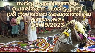 സർപ്പക്കളം,Sarppakkalam,Chakkittapparambu sree Nagaraja kshethram. രണ്ടാം കളം.05/09/2023.