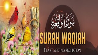 Surat Al-Waqi'ah (The Event)|سورة الواقعة|recitation of surah waqiah|مشاري بن راشد العفاسي