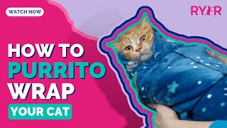 How to Purrito Wrap a Cat - RYERCAT