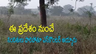 ఈ చెట్ల మధ్య నుంచే పారిపోవడానికి ప్రయత్నించారు | T2KNEWS