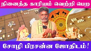 எடுத்த காரியம் நடக்குமா? நடக்காதா?... குழப்பம் தீர சோழி பிரசன்ன ஜோதிடம் | குருஜி ஆனந்தன் | Prasannam